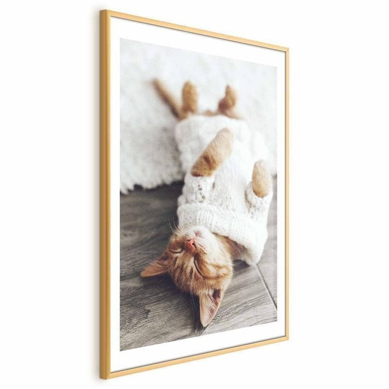 Poster - Lazy Cat in Targhe e cartelli Collezione Casa - Trebisacce, commercioVirtuoso.it