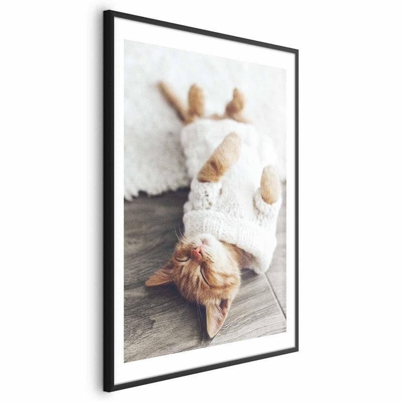 Poster - Lazy Cat in Targhe e cartelli Collezione Casa - Trebisacce, commercioVirtuoso.it