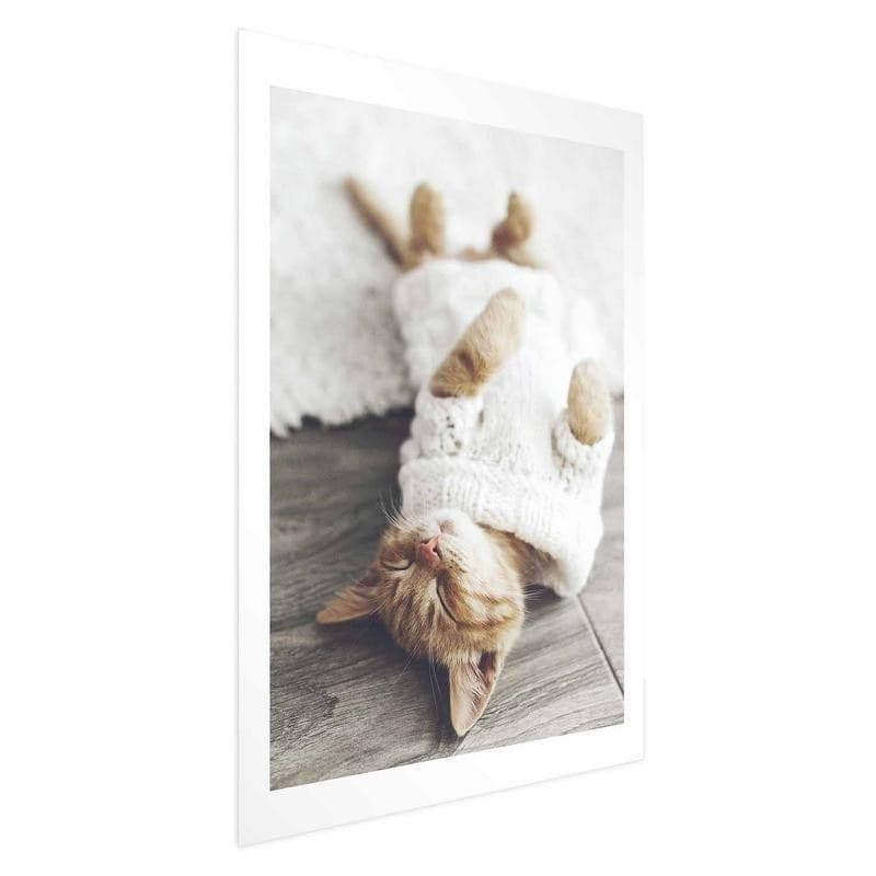 Poster - Lazy Cat in Targhe e cartelli Collezione Casa - Trebisacce, commercioVirtuoso.it