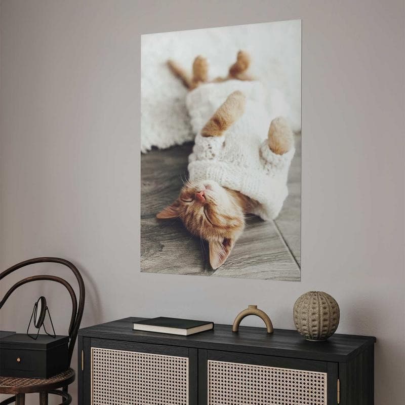 Poster - Lazy Cat in Targhe e cartelli Collezione Casa - Trebisacce, commercioVirtuoso.it