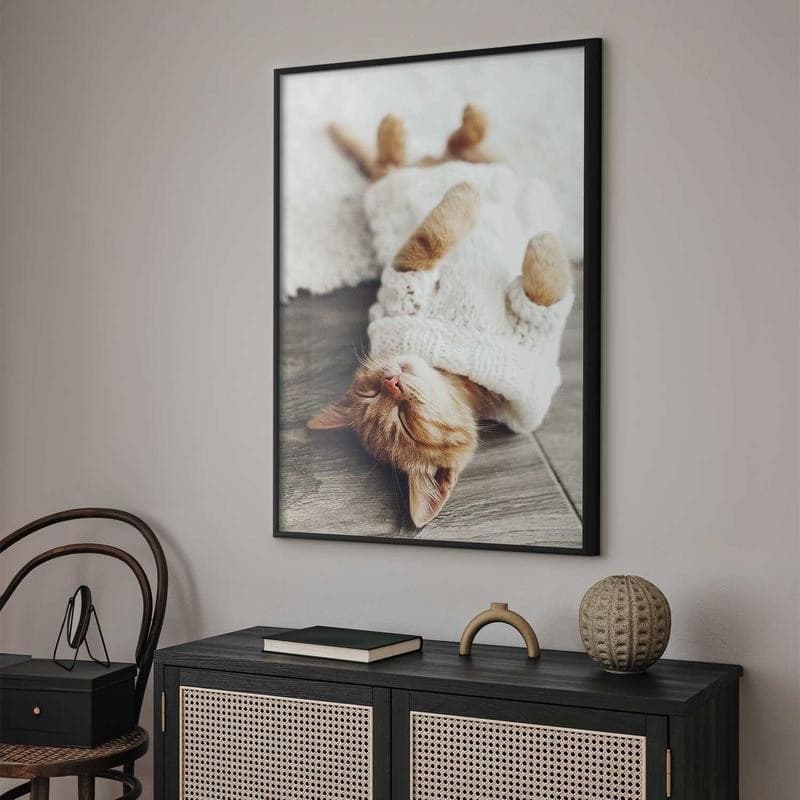 Poster - Lazy Cat in Targhe e cartelli Collezione Casa - Trebisacce, commercioVirtuoso.it
