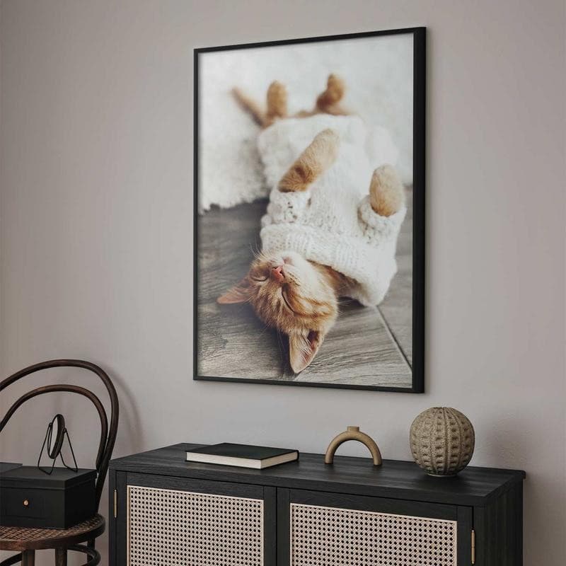Poster - Lazy Cat in Targhe e cartelli Collezione Casa - Trebisacce, commercioVirtuoso.it