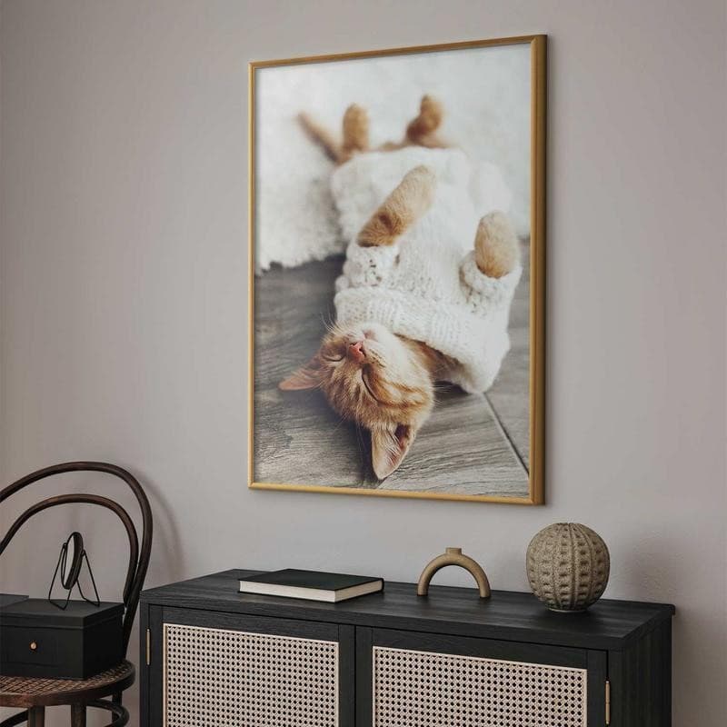 Poster - Lazy Cat in Targhe e cartelli Collezione Casa - Trebisacce, commercioVirtuoso.it