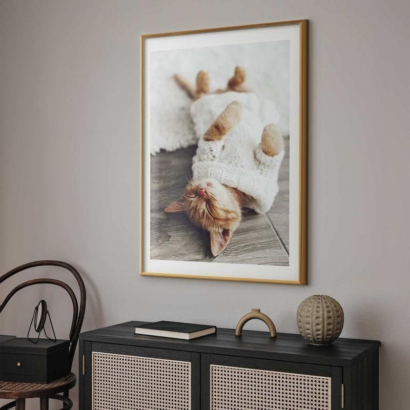 Poster - Lazy Cat in Targhe e cartelli Collezione Casa - Trebisacce, commercioVirtuoso.it