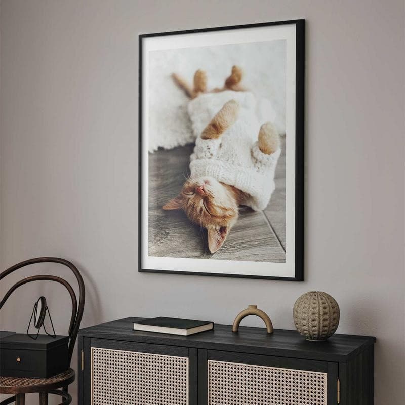Poster - Lazy Cat in Targhe e cartelli Collezione Casa - Trebisacce, commercioVirtuoso.it