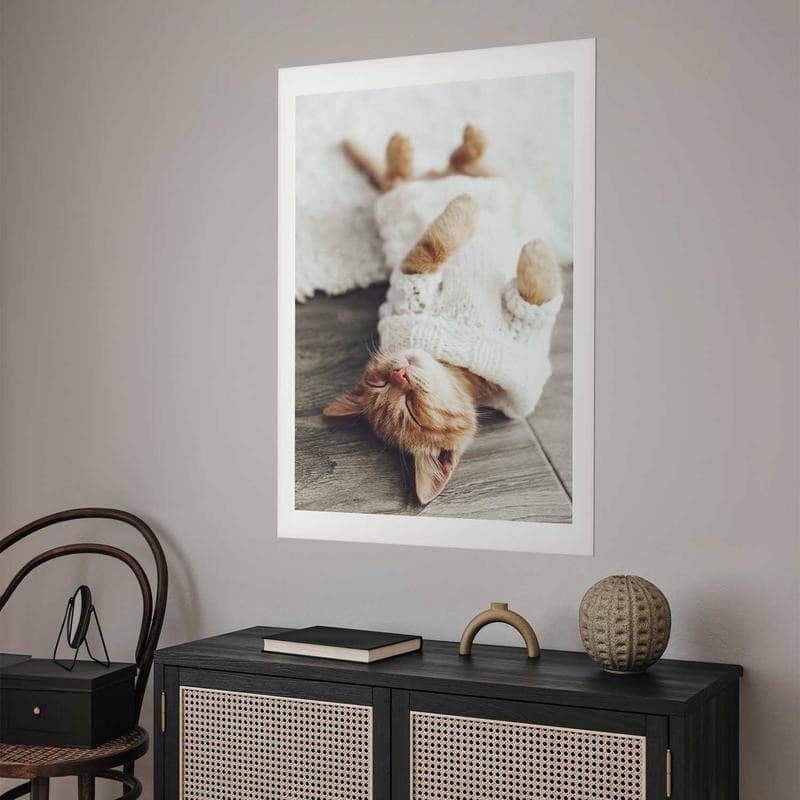 Poster - Lazy Cat in Targhe e cartelli Collezione Casa - Trebisacce, commercioVirtuoso.it