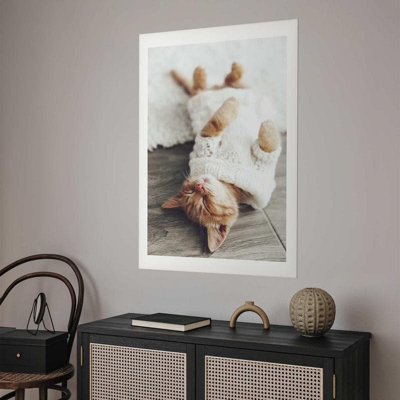 Poster - Lazy Cat in Targhe e cartelli Collezione Casa - Trebisacce, commercioVirtuoso.it