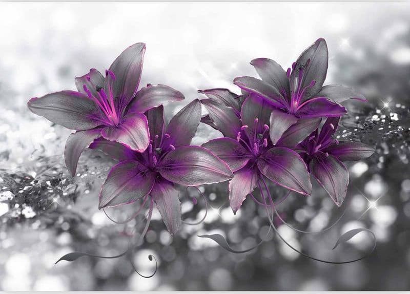 Fotomurale Secret of the Lily in Carta da parati Collezione Casa - Trebisacce, commercioVirtuoso.it