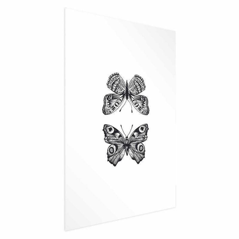 Poster - Two Butterflies in Poster e stampe Collezione Casa - Trebisacce, commercioVirtuoso.it