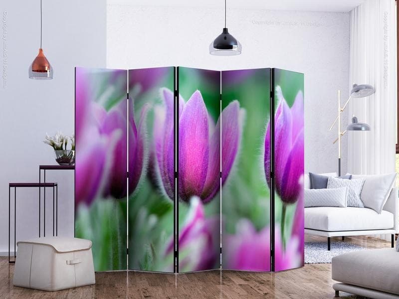 Paravento Purple spring tulips II [divisori da interno] in Paraventi Collezione Casa - Trebisacce, commercioVirtuoso.it