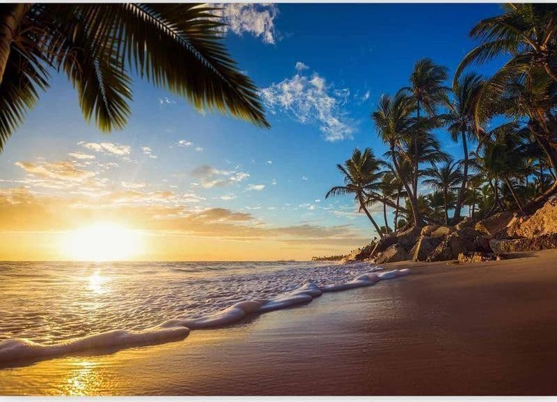 Fotomurale Tropical Beach in Carta da parati Collezione Casa - Trebisacce, commercioVirtuoso.it