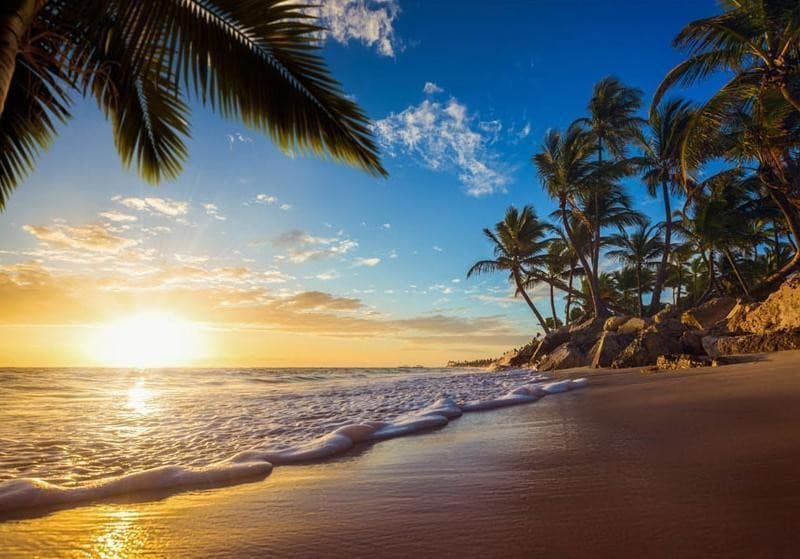 Fotomurale Tropical Beach in Carta da parati Collezione Casa - Trebisacce, commercioVirtuoso.it