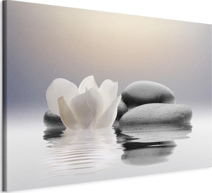 Quadro Garden of Calm in Poster e stampe Collezione Casa - Trebisacce, commercioVirtuoso.it