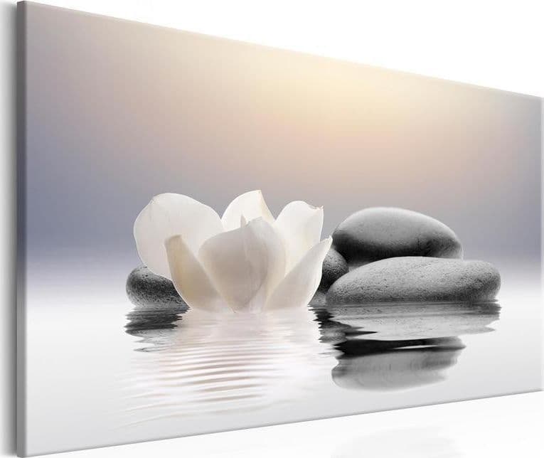 Quadro Garden of Calm in Poster e stampe Collezione Casa - Trebisacce, commercioVirtuoso.it