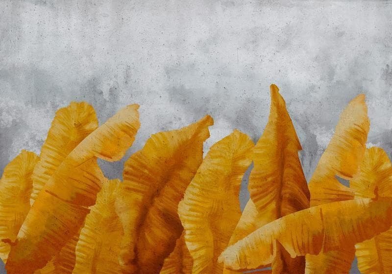 Carta da Parati Foglie di Banana in Carta da parati Collezione Casa - Trebisacce, commercioVirtuoso.it