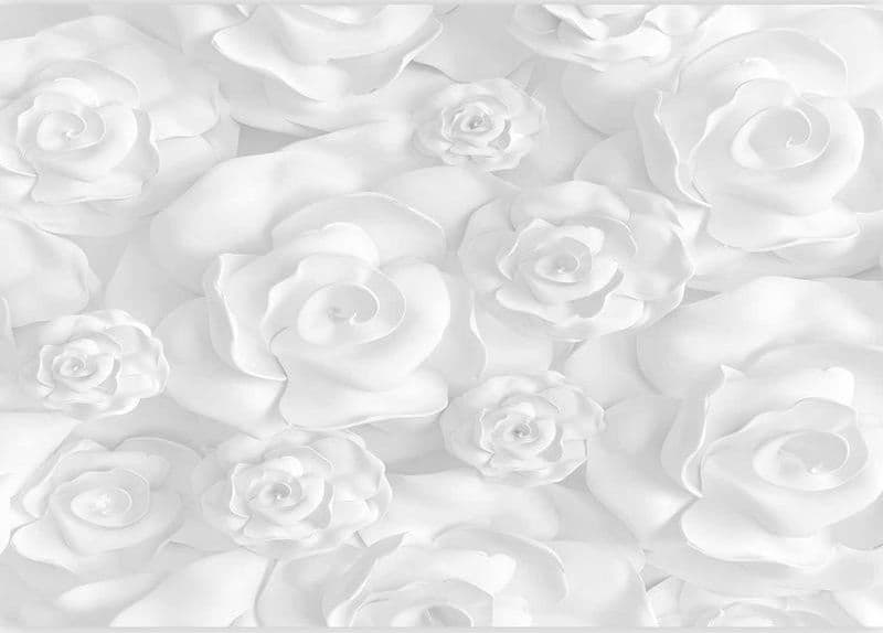 Fotomurale Plaster Flowers in Carta da parati Collezione Casa - Trebisacce, commercioVirtuoso.it
