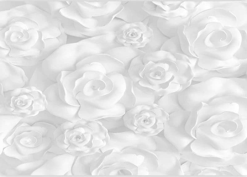 Fotomurale Plaster Flowers in Carta da parati Collezione Casa - Trebisacce, commercioVirtuoso.it