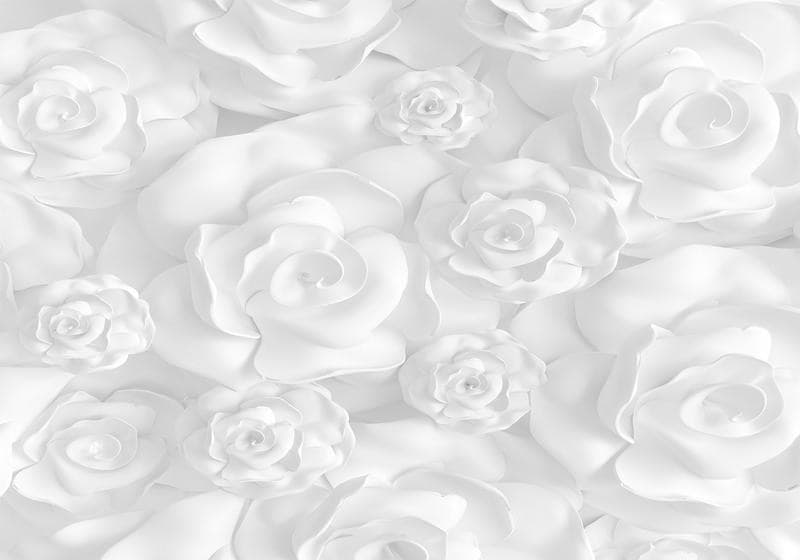 Fotomurale Plaster Flowers in Carta da parati Collezione Casa - Trebisacce, commercioVirtuoso.it