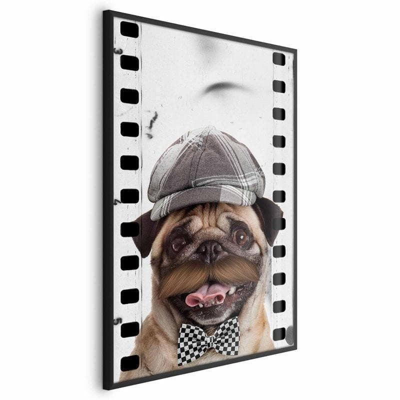 Poster - Pug in a Hat in Poster e stampe Collezione Casa - Trebisacce, commercioVirtuoso.it
