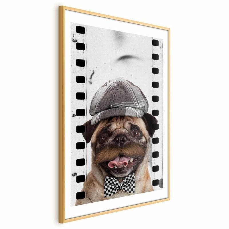 Poster - Pug in a Hat in Poster e stampe Collezione Casa - Trebisacce, commercioVirtuoso.it