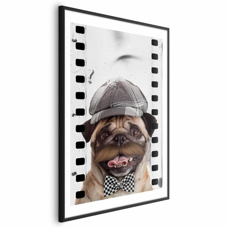 Poster - Pug in a Hat in Poster e stampe Collezione Casa - Trebisacce, commercioVirtuoso.it