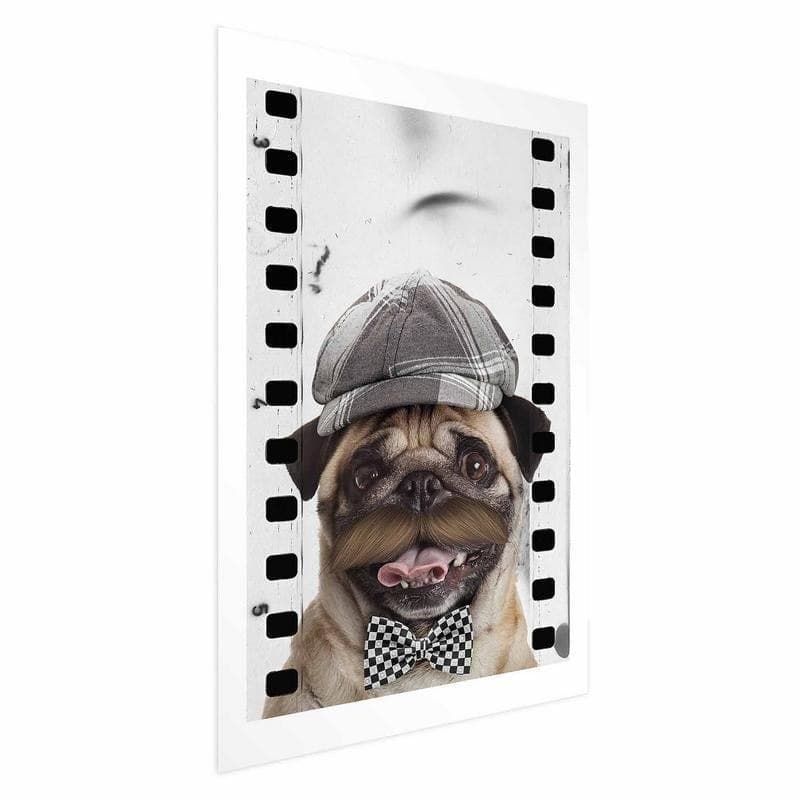 Poster - Pug in a Hat in Poster e stampe Collezione Casa - Trebisacce, commercioVirtuoso.it