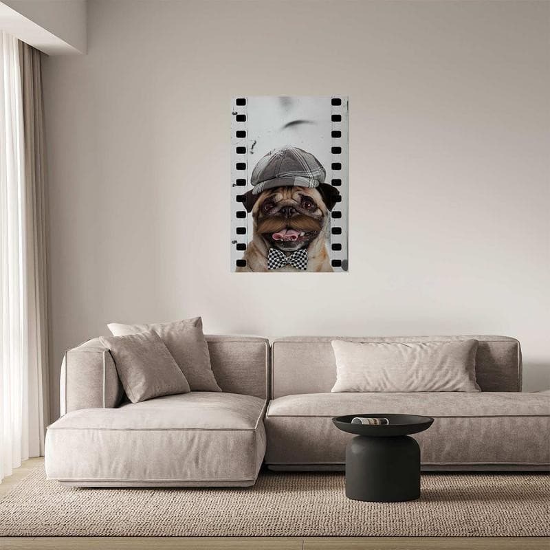 Poster - Pug in a Hat in Poster e stampe Collezione Casa - Trebisacce, commercioVirtuoso.it