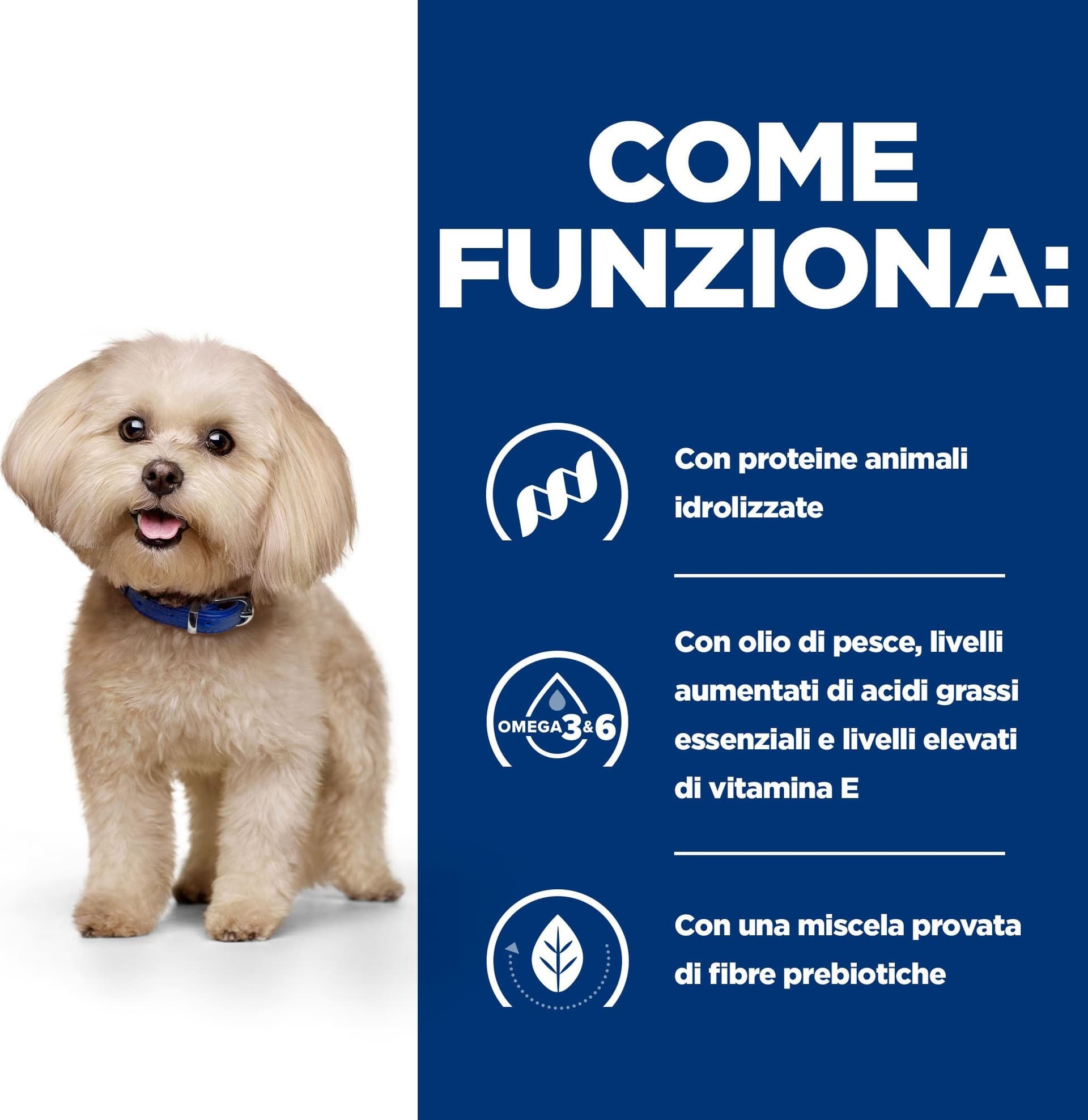 Hill's Prescription Diet Food Sensitivities secco Cani Adulti Mini in Secco 101 Market - Poggibonsi, commercioVirtuoso.it