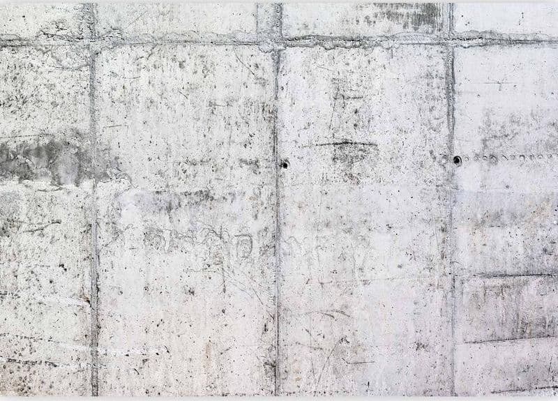 Fotomurale Concrete Wall in Carta da parati Collezione Casa - Trebisacce, commercioVirtuoso.it