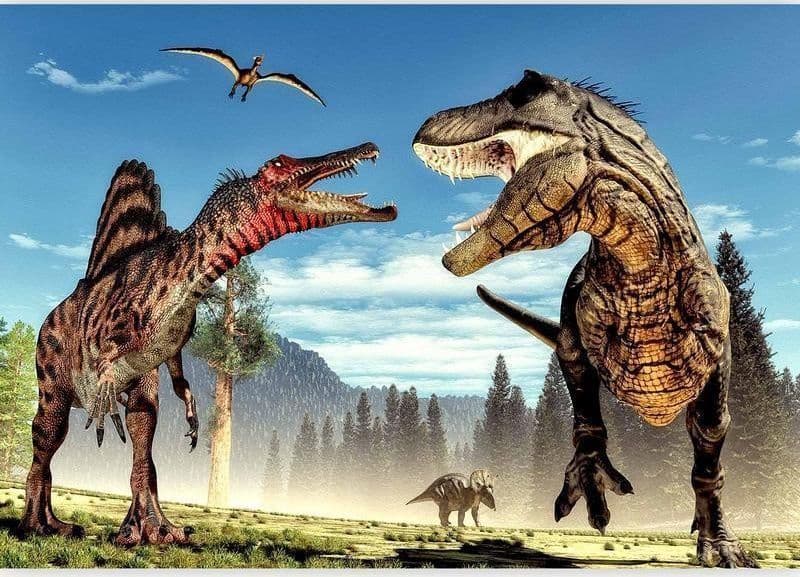 Fotomurale Fighting Dinosaurs in Carta da parati Collezione Casa - Trebisacce, commercioVirtuoso.it