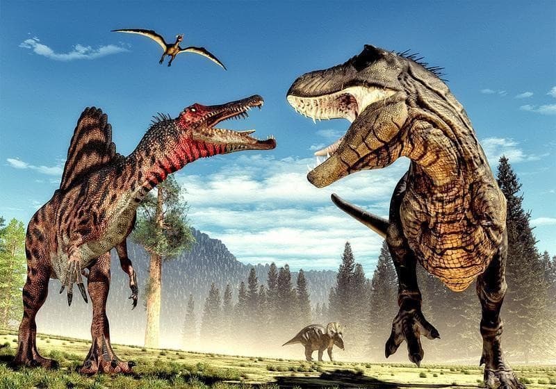 Fotomurale Fighting Dinosaurs in Carta da parati Collezione Casa - Trebisacce, commercioVirtuoso.it