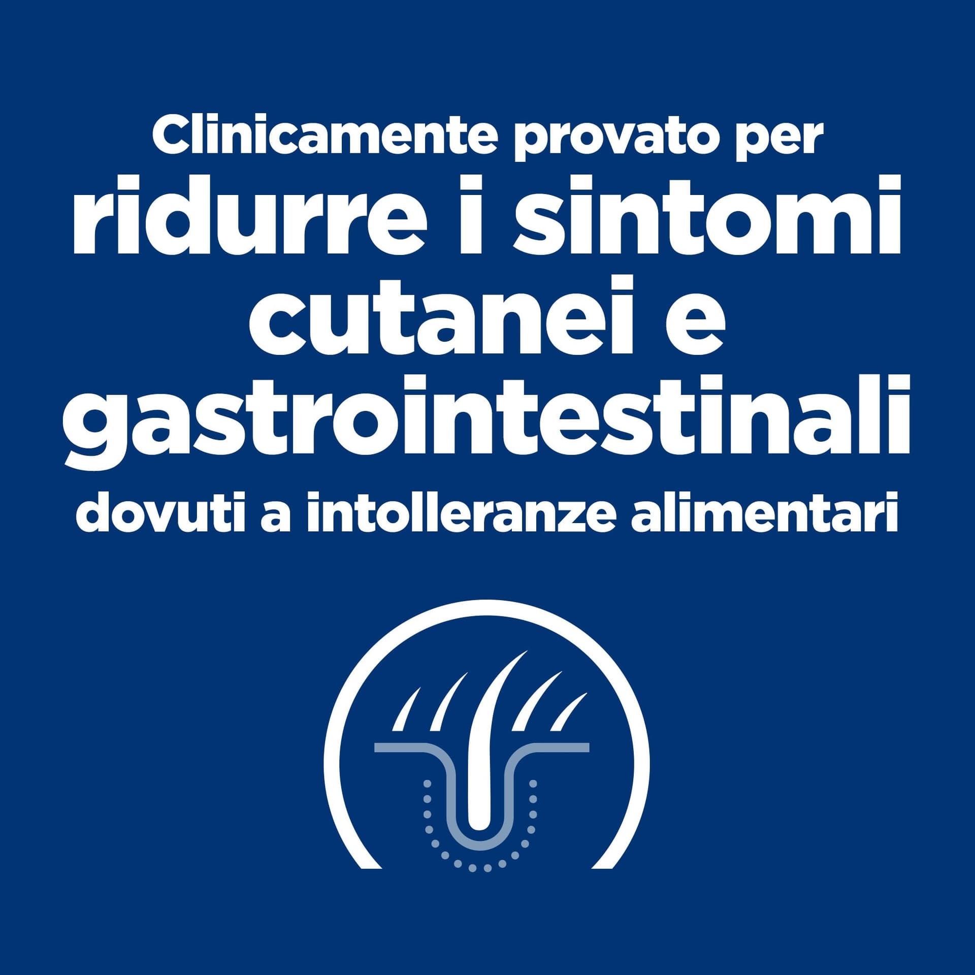 Hill's Prescription Diet Food Sensitivities secco Cani Adulti Mini in Secco 101 Market - Poggibonsi, commercioVirtuoso.it