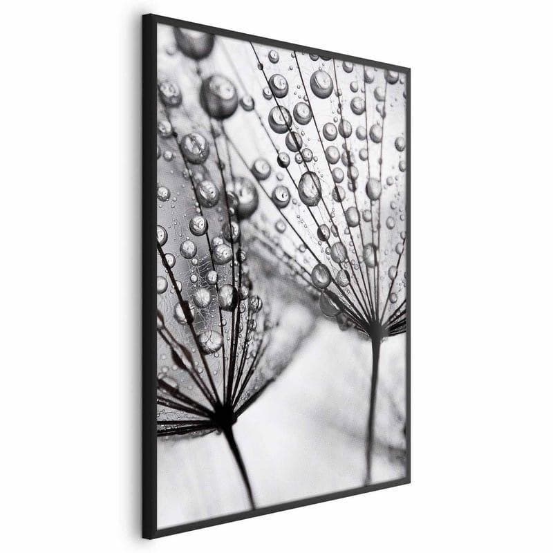 Poster - Macro Dew in Poster e stampe Collezione Casa - Trebisacce, commercioVirtuoso.it