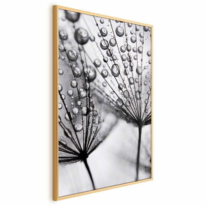 Poster - Macro Dew in Poster e stampe Collezione Casa - Trebisacce, commercioVirtuoso.it