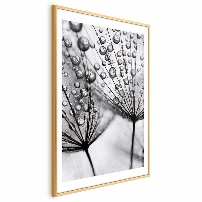 Poster - Macro Dew in Poster e stampe Collezione Casa - Trebisacce, commercioVirtuoso.it