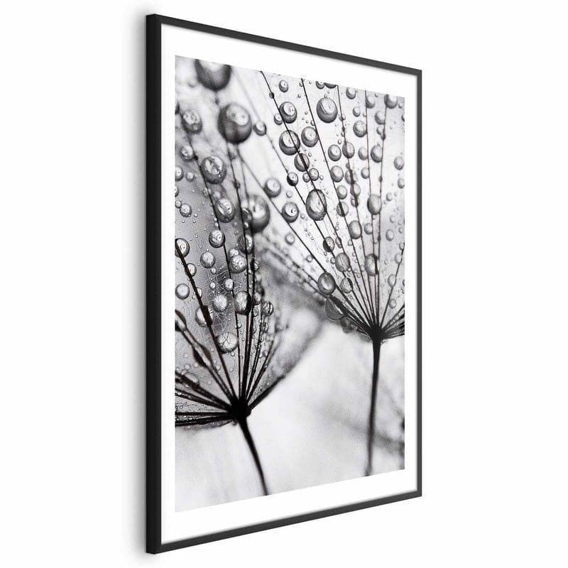Poster - Macro Dew in Poster e stampe Collezione Casa - Trebisacce, commercioVirtuoso.it