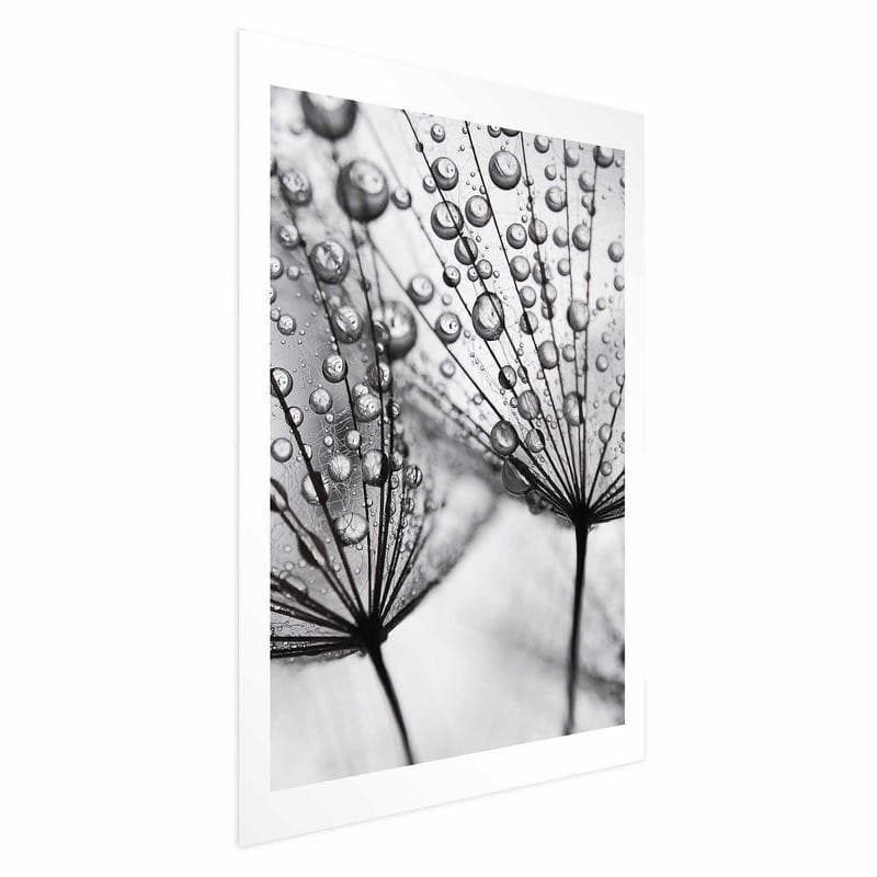 Poster - Macro Dew in Poster e stampe Collezione Casa - Trebisacce, commercioVirtuoso.it