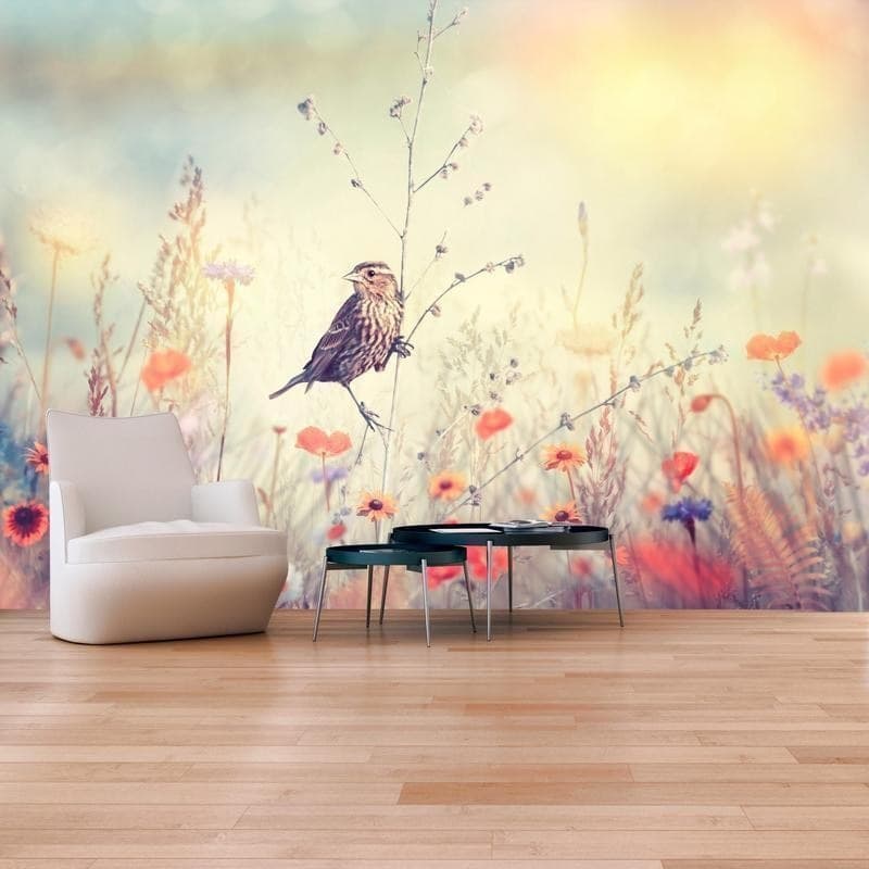 Fotomurale adesivo Field Bird in Carta da parati Collezione Casa - Trebisacce, commercioVirtuoso.it