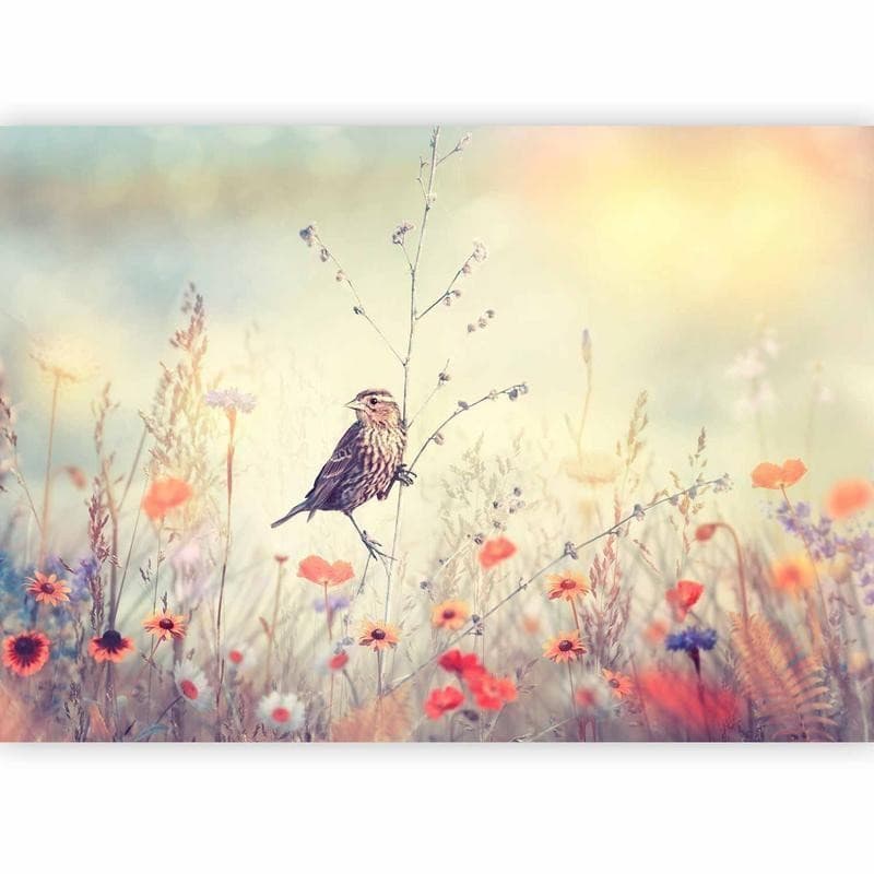 Fotomurale adesivo Field Bird in Carta da parati Collezione Casa - Trebisacce, commercioVirtuoso.it