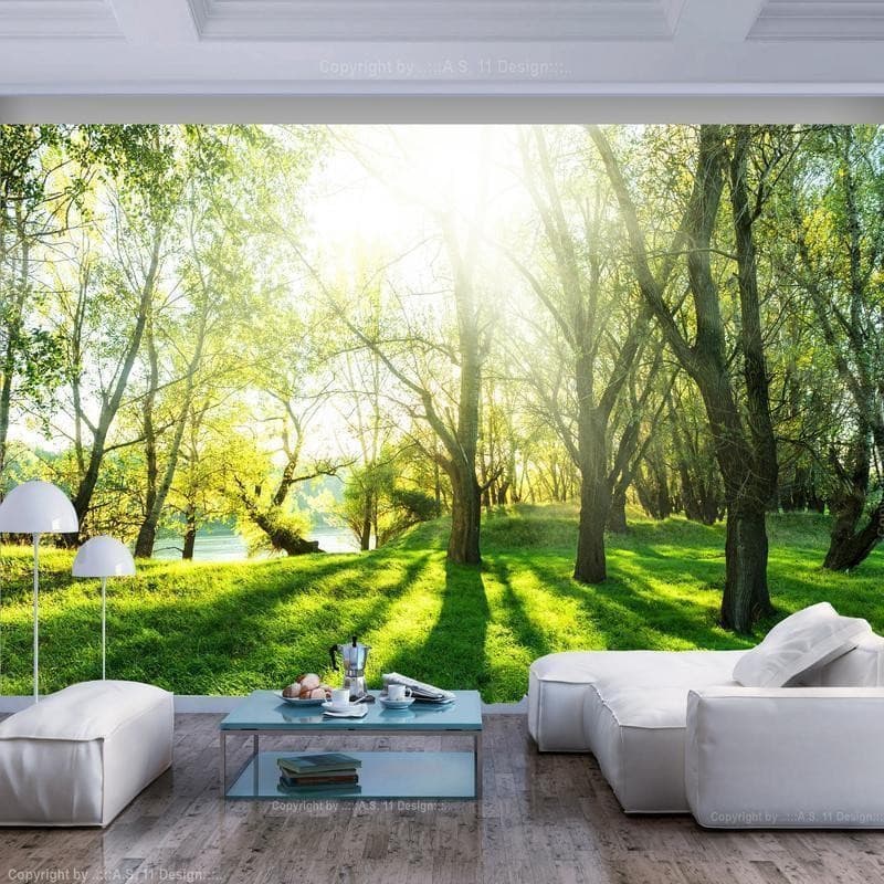 Fotomurale Sunny May Day in Carta da parati Collezione Casa - Trebisacce, commercioVirtuoso.it