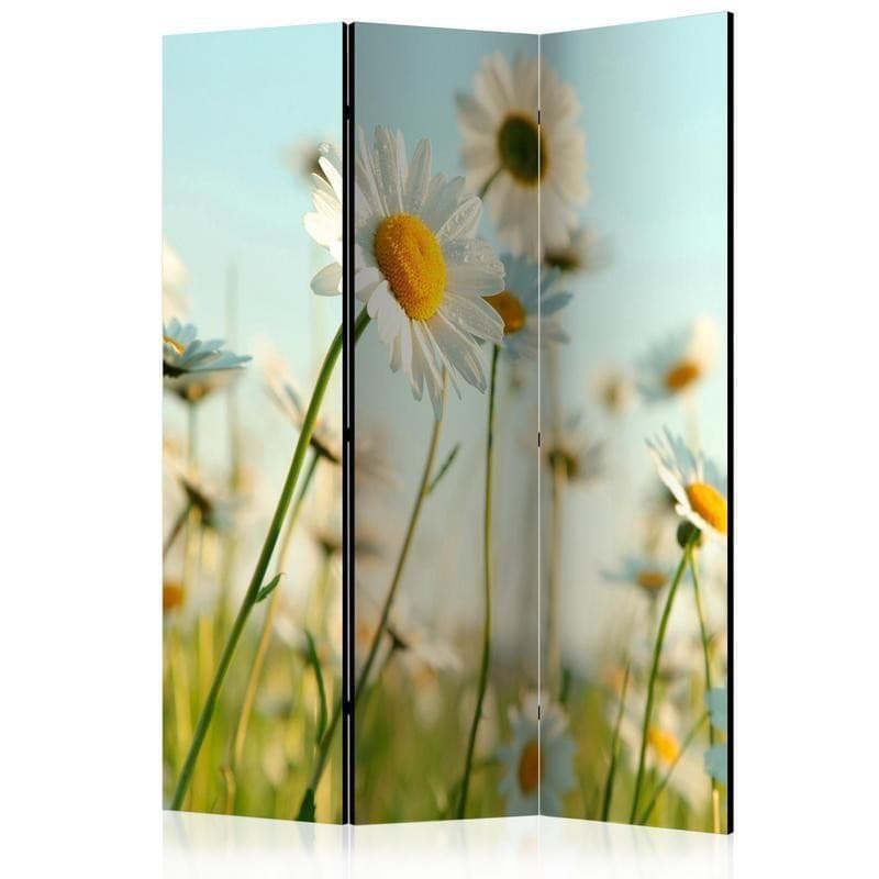 Paravento Daisies spring meadow [divisori da interno] in Paraventi Collezione Casa - Trebisacce, commercioVirtuoso.it