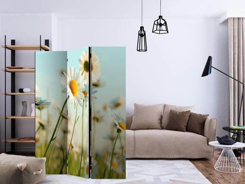 Paravento Daisies spring meadow [divisori da interno] in Paraventi Collezione Casa - Trebisacce, commercioVirtuoso.it