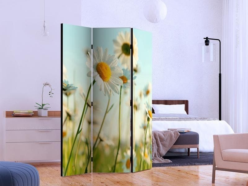 Paravento Daisies spring meadow [divisori da interno] in Paraventi Collezione Casa - Trebisacce, commercioVirtuoso.it