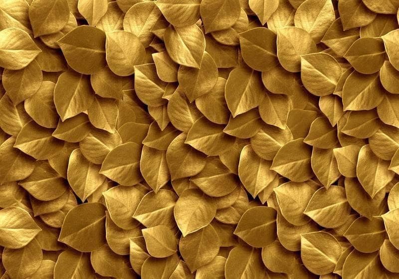 Fotomurale Foglie d'oro in Carta da parati Collezione Casa - Trebisacce, commercioVirtuoso.it