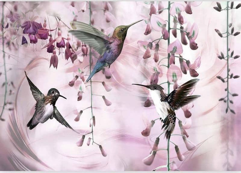 Fotomurale Flying Hummingbirds (Pink) in Carta da parati Collezione Casa - Trebisacce, commercioVirtuoso.it