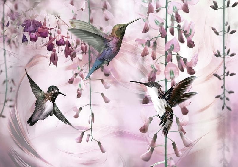 Fotomurale Flying Hummingbirds (Pink) in Carta da parati Collezione Casa - Trebisacce, commercioVirtuoso.it