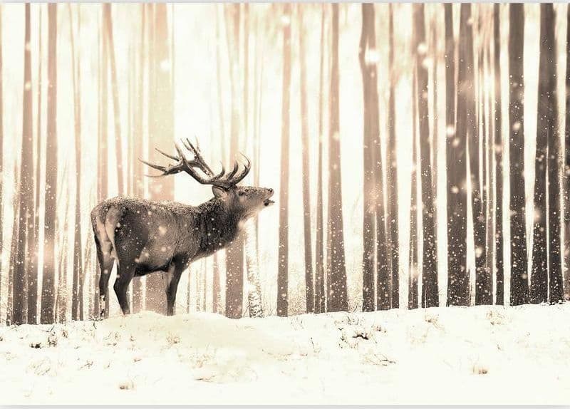 Fotomurale adesivo Deer in the Snow (Sepia) in Carta da parati Collezione Casa - Trebisacce, commercioVirtuoso.it