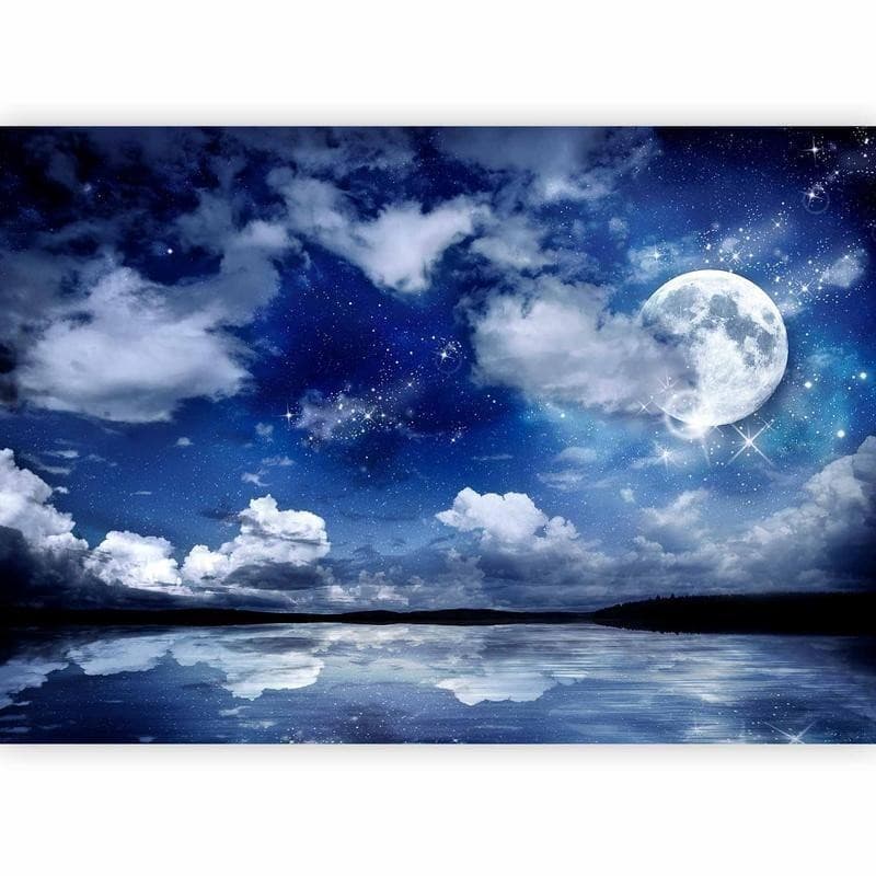 Fotomurale Notte magica in Carta da parati Collezione Casa - Trebisacce, commercioVirtuoso.it