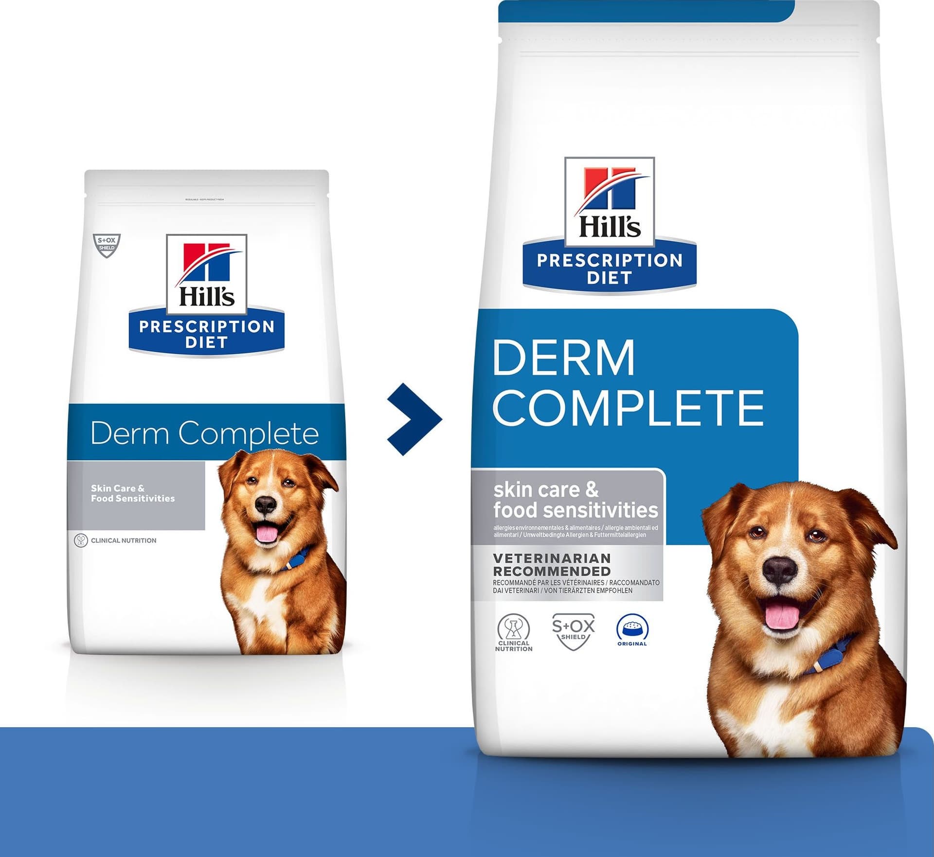 Hill's Prescription Diet Derm Complete secco Cani Adulti in Secco 101 Market - Poggibonsi, commercioVirtuoso.it