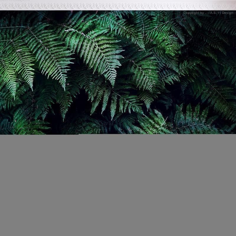 Fotomurale In the Thicket in Carta da parati Collezione Casa - Trebisacce, commercioVirtuoso.it